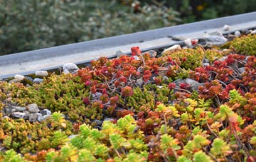 the cost of Brogborough green roof installation