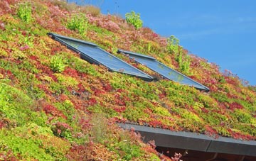 Brogborough living roof systems